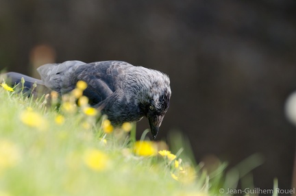 2011-08-15 - 10-43-33