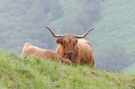 2011-08-15 - 16-55-21