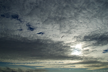 2010-08-29 - 18-07-33