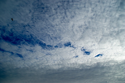 2010-08-29 - 18-07-35